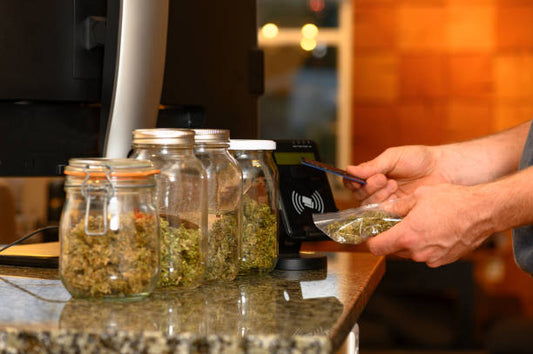 How to Use Cannabis Safely and Responsibly: A Beginner-to-Pro Guide