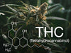 How THC Interacts with the Body: An In-Depth Exploration