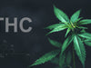 The Beneficial Effects of THC: A Comprehensive Exploration