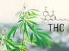 Is THC Safe? Reviewing Health Implications and Safe Usage Guidelines