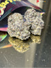 Bompton Berries (Hybrid)