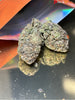 Gobbstoppers (Indica)