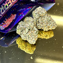 Glue Stick (Indica)