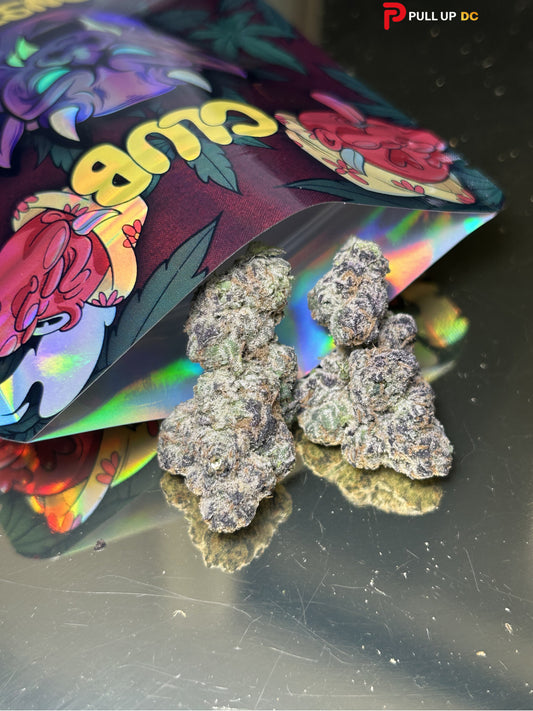 Pina Colada (Hybrid)
