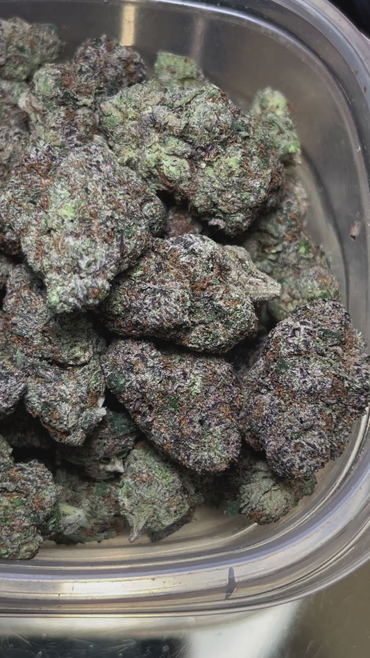 Cheesecake Gelato (Indica)