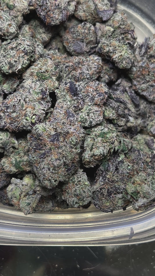 Lemon Lime (Hybrid)
