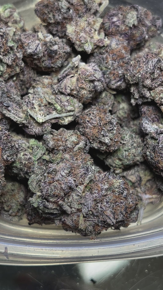 Paradise Runtz (Sativa)
