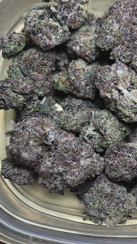 Blueberry Muffins (Sativa)