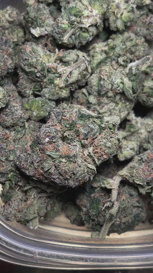 Peach Cobbler (Sativa)