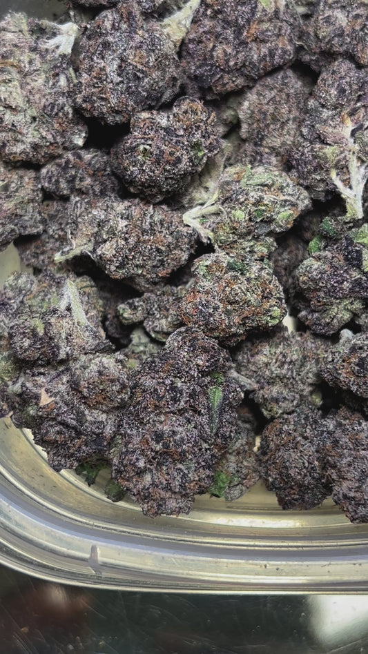 Cashmere Runtz (Hybrid)