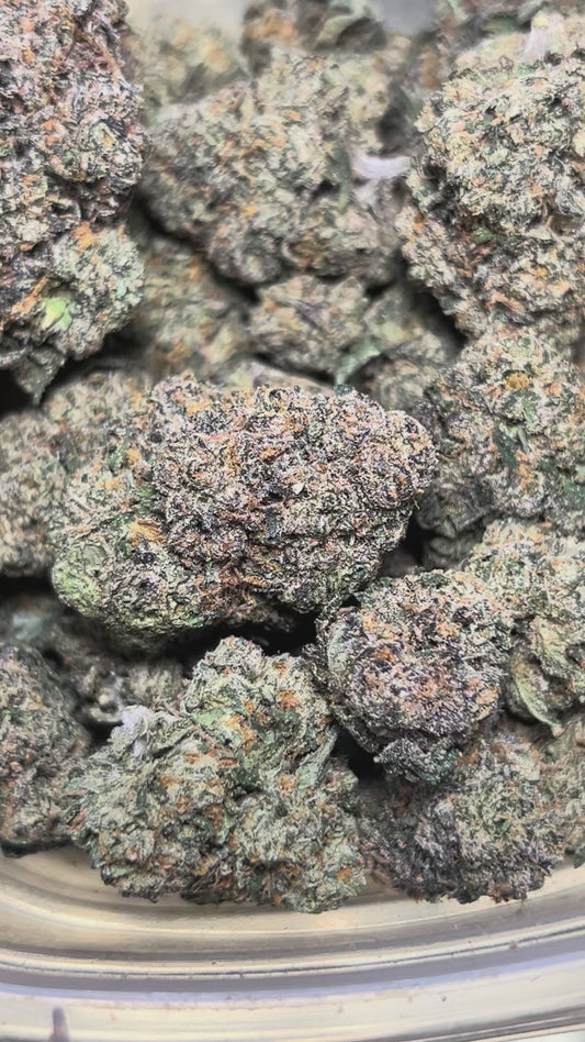 Sunny Delight (Hybrid)