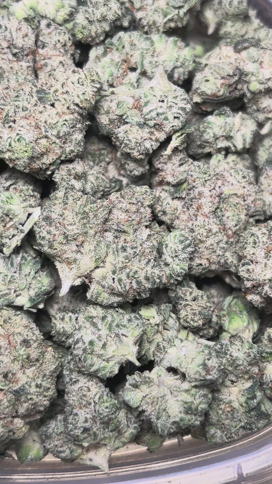 Dior Runtz (Indica)