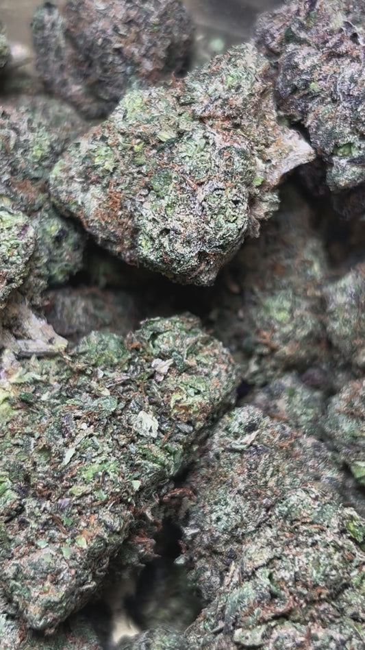 Wholesales : Blueberry Blast (Indica)
