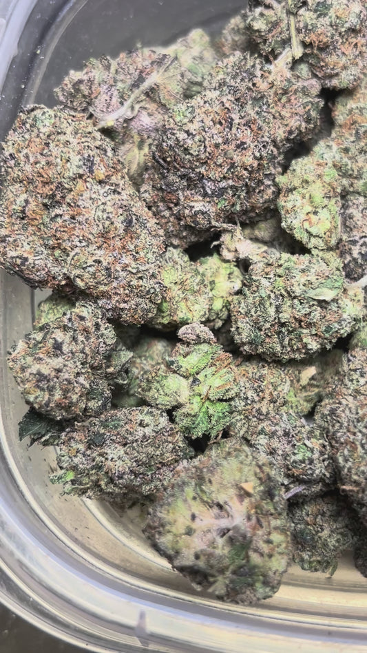 Lava Cake (Hybrid)