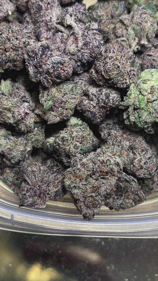 Halle Berry (Indica)