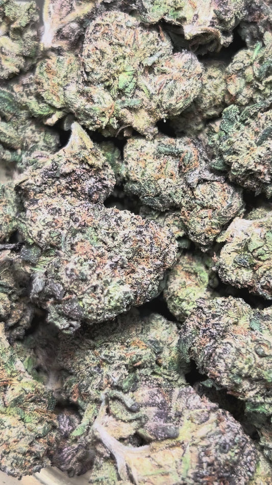 Gobbstoppers (Indica)