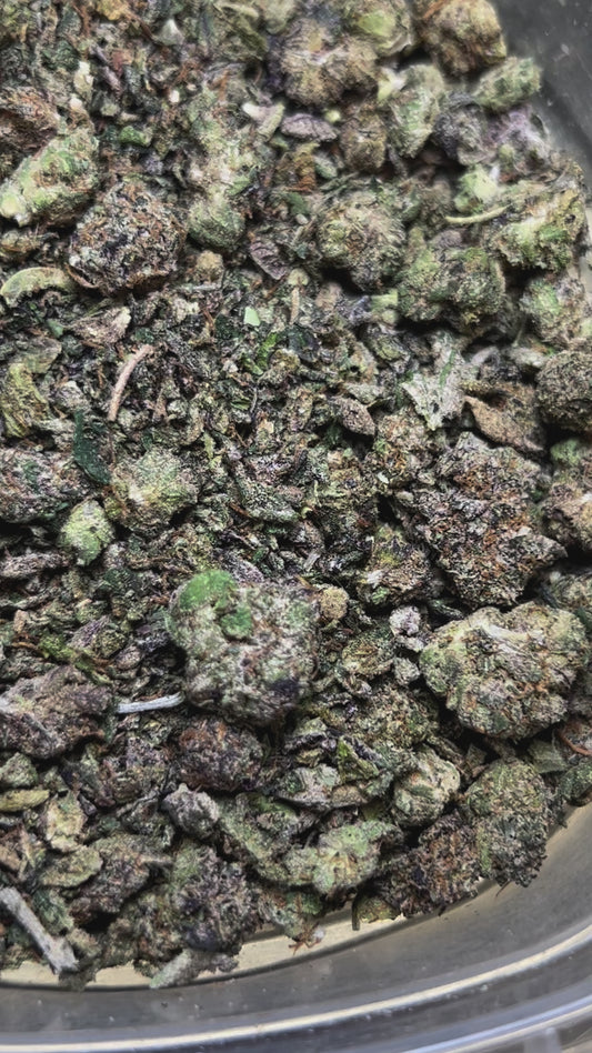 Shake (Hybrid)