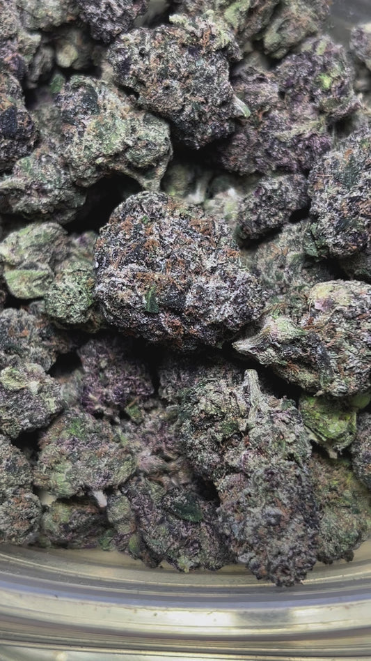 Pablo Escobar (Hybrid)