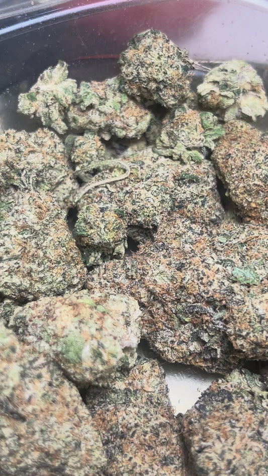 Sour Mamba (Indica)