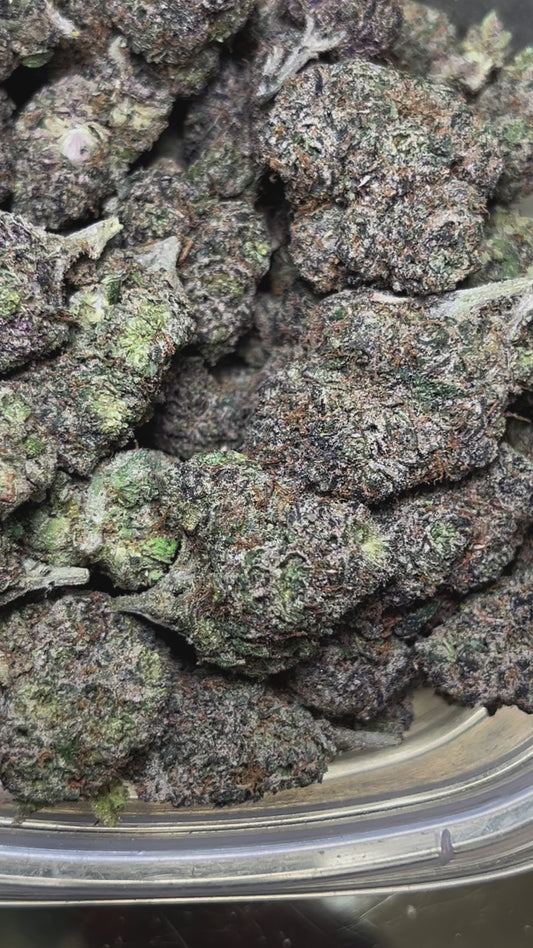 Jamaican Gumbo (Sativa)